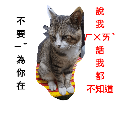 喵的真實ㄖㄣˊ森…