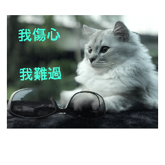 初二回娘家