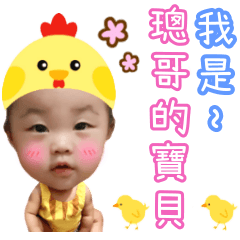 璁哥的寶貝