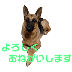 beasts of Magosaki family