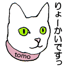 For Tomo (Cat)