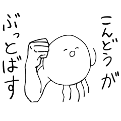 Muscle Jellyfish KONDOU2