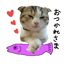 Akane_20181018174223