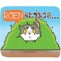 ROEN cheeky cat e