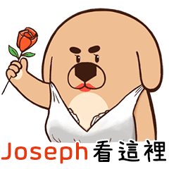 BOSS - Tease "Joseph" stickers