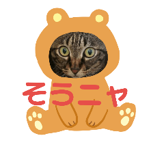 mame_20181019112653