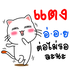 Name Thang V.Cat Cute