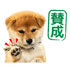 Mamesuke From Nidaime Wafu Sohonke Line Stickers Line Store