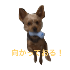 inulove_20181018213607