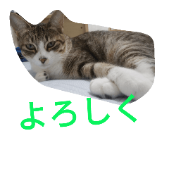 takeru8