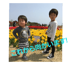 NICE Brothers Y And S