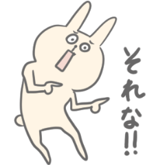 Daily routine of rabbit and cat.
