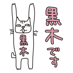 Only for Mr. Kuroki Banzai Cat
