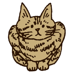 Brown tabby cat Riichi