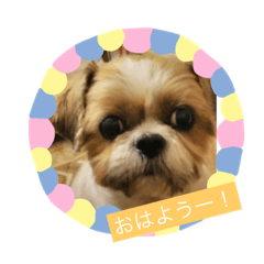 kinako_20181020220414