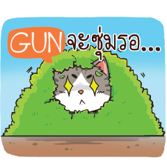 GUN cheeky cat e