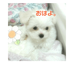 haruna_20181021000001