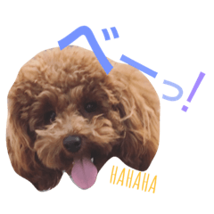 chip cute stamp