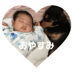 aina_20181022104324