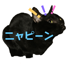 Supercute black cat stamp