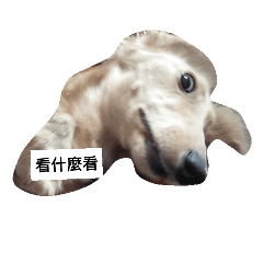 丫丫