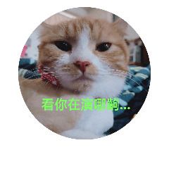 萌萌茶