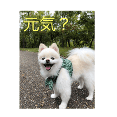 sakai_20181021145832