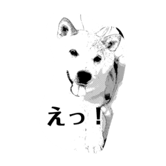 kyon_20181021081841