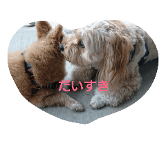 junko_20181021152834