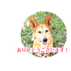 akane_20181021102130