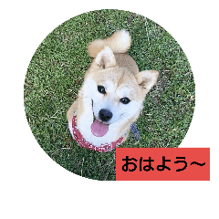 omame stamps