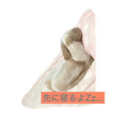 Chihiro2018115