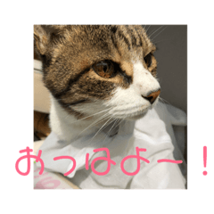 kinako_20181022211237