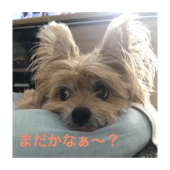 RYU_20181023073150