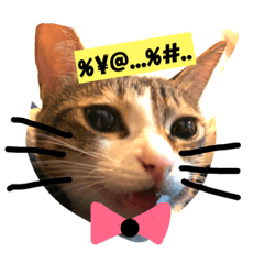 MuMu 日常
