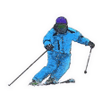 スキーシーン ski