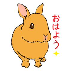 A pose sticker with a rabbit
