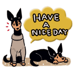 Every Day Dog Miniature Pinscher