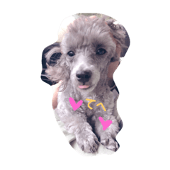 NOZOMI_20181023183537