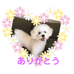 akiko_20181023190553