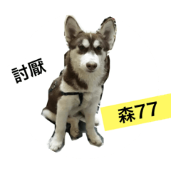 可愛的情侶日常生活