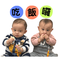 Tang family twins daily life.