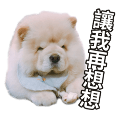 My chow chow notes
