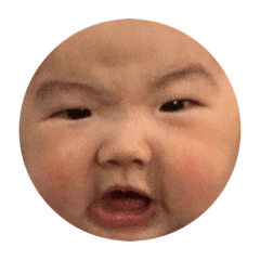 崧崧