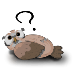 Owl's daily life - English