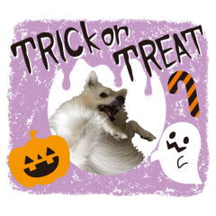 Halloween LuLu