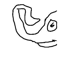 小小象