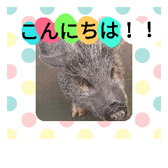 msk_20181017052507