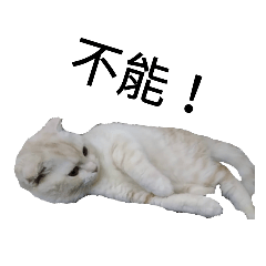 叫偶麻糬就好-情侶篇