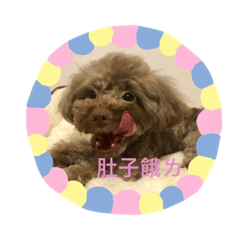 BuBuの小腦袋物語